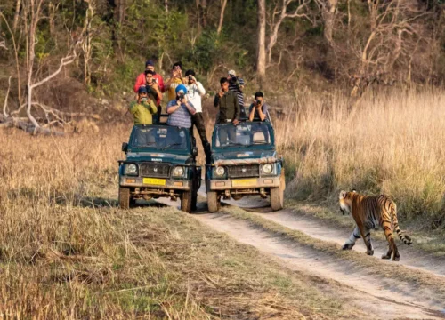 Short Trip to Corbett