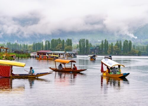 Opulent Beauty of Kashmir